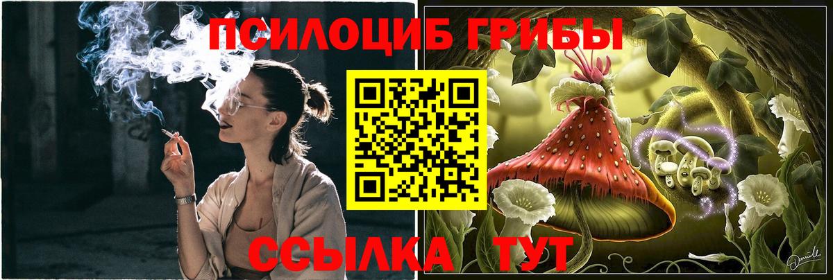 Псилоцибиновые грибы Magic Shrooms  Вход с VPN  Галлюциногенные грибы Psilocybine cubensis  Тула 